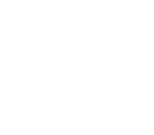 Promoplug